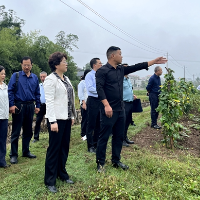 周迎春到北塔区沐三村调研乡村振兴工作