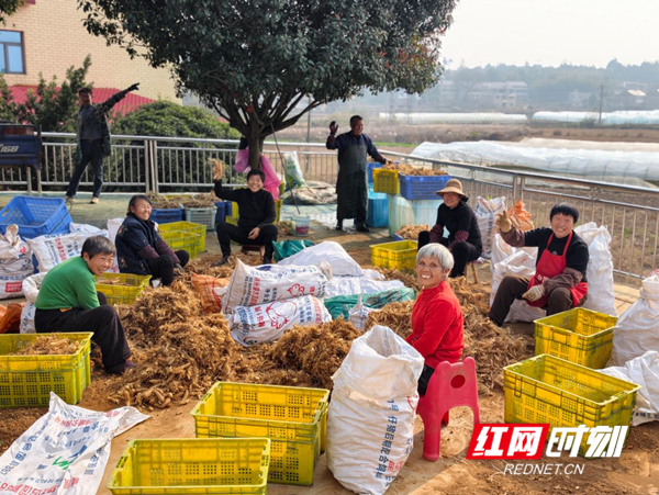 图片3_副本.png 图片3_副本.png