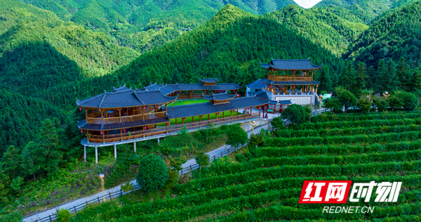 微信图片_20260715093512_72_2276_副本.png 微信图片_20260715093512_72_2276_副本.png
