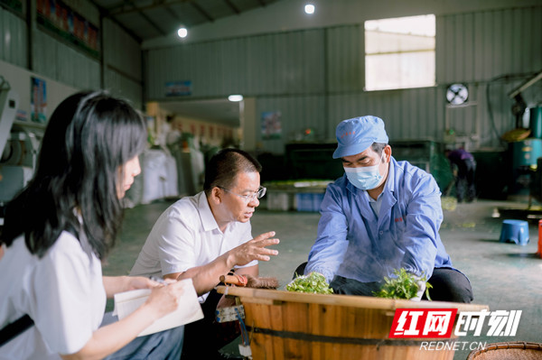 微信图片_20260707134850_44_5332_副本.jpg 微信图片_20260707134850_44_5332_副本.jpg