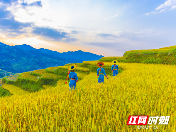 微信图片_20260804103812_193_39_副本.jpg 微信图片_20260804103812_193_39_副本.jpg