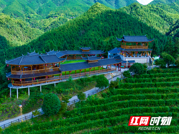 微信图片_20260804103947_196_39_副本.png 微信图片_20260804103947_196_39_副本.png