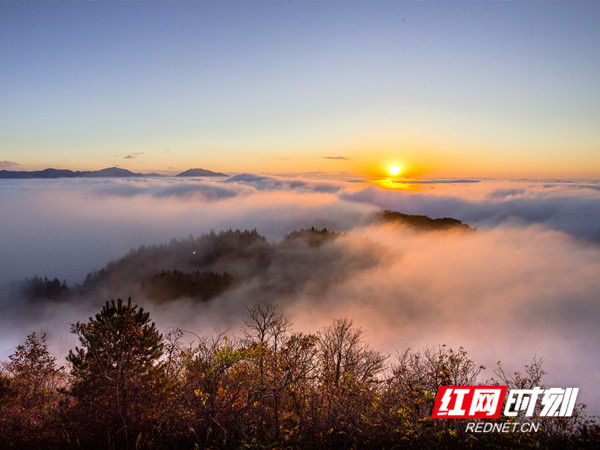 微信图片_20260804103708_191_39_副本.jpg 微信图片_20260804103708_191_39_副本.jpg