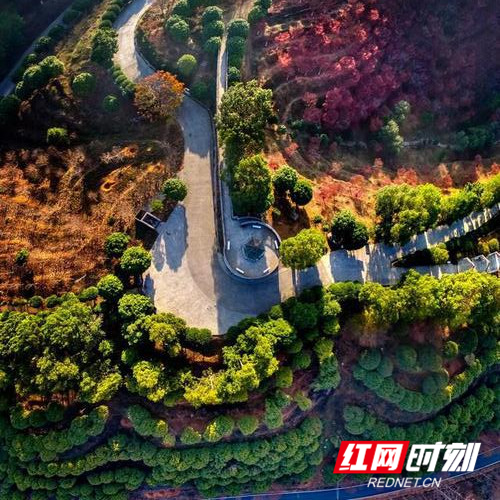 图片1_副本.png