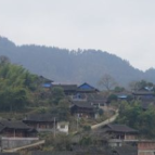 湖南省工业和信息化行业事务中心举办“数智赋能 助力乡村振兴”农产品推广活动