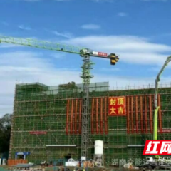 金秋结“硕果” 望城经开区一批重大项目集中封顶