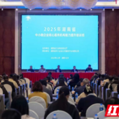 提升服务能力 赋能中小企业——湖南省中小微企业核心服务机构能力提升培训班开班