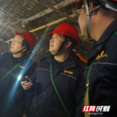 聚焦生态环保与产业升级，湖南矿产集团以巡促改促发展