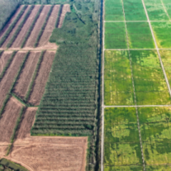 耕地置换：常德交出“人地水”和谐新答卷