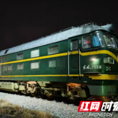 海南热带水果乘“专列”来湘 “海南—长沙北”铁路冷链专列首发