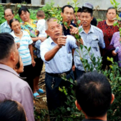 潇湘银辉 | 江克平:超21.5万公里“耕耘路” 田野长出参天“科技树”