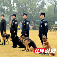 “湘直爱心妈妈”关爱儿童趣味研学活动走进省公安厅警犬基地