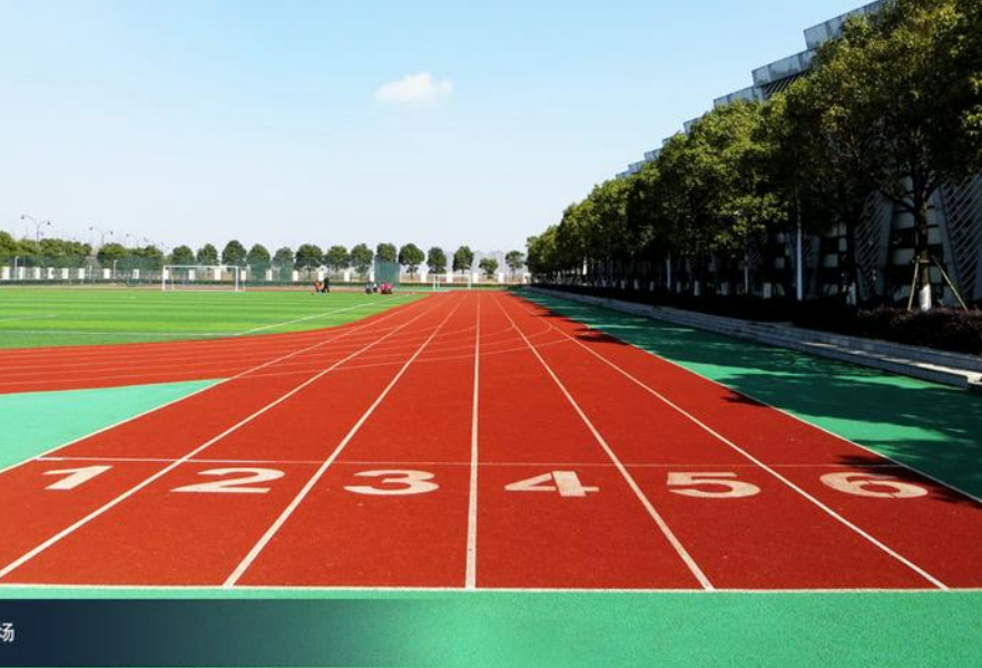 国赛银奖!中南林科大学生在全国大学生外语能力大赛中再创佳绩