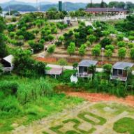 绿色印记，岁月沉香丨从“靠水吃水”到“靠山吃山”：鹅婆山农场的绿色之路
