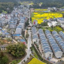 湖南省第十八届研究生创新论坛“减碳增汇赋能乡村振兴”分论坛在中南林科大举办