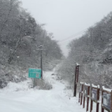 寒潮预警发布:湖南这些地方下雪了!元旦迎来降温、降雨等天气过程