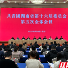 共青团湖南省第十六届委员会召开第五次全体会议