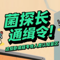 菌探长通缉令！这些"卧底菇"专攻人类认知盲区