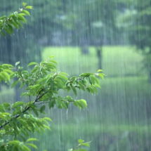 气象灾害（暴雨、强对流）三级应急响应启动