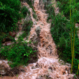 受降雨影响，郴州、永州、邵阳、怀化等局地发生山洪灾害的可能性大