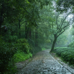湖南迎来较强降雨 省水利厅要求重点防范洪水风险