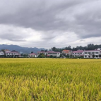 湖南2家粮食仓储企业入围2025年绿色储粮技术集成应用示范点单位名单