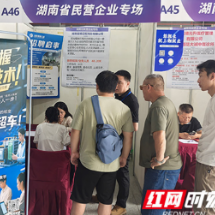 2025年湘人才公共招聘活动第十八场举行 助力民营企业揽才引智