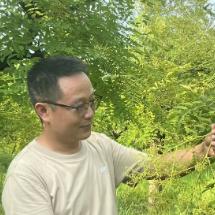 乡村追梦人｜付平国：金槐产业书写的乡村振兴答卷