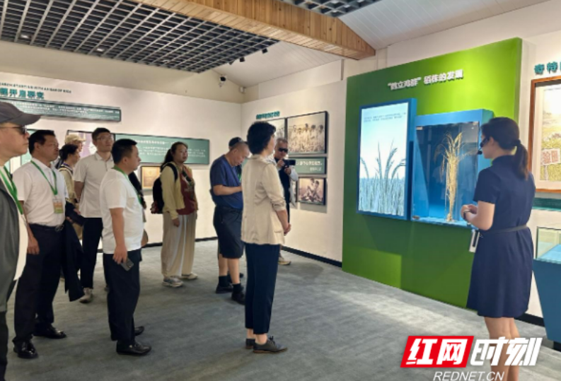 聚焦第五届湖南旅发大会展示点 海外华文媒体深度探访怀化多元文化