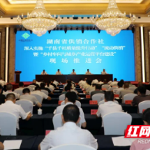 聚焦千县千社、流动供销、乡村车间建设，湖南省供销合作社推进会召开