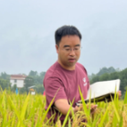 创在湖南丨守护大国粮仓的“湖南种子”：粮安科技以创新育种 助力端牢“中国饭碗”