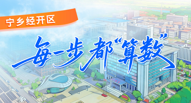 图解丨宁乡经开区：每一步，都“算数”