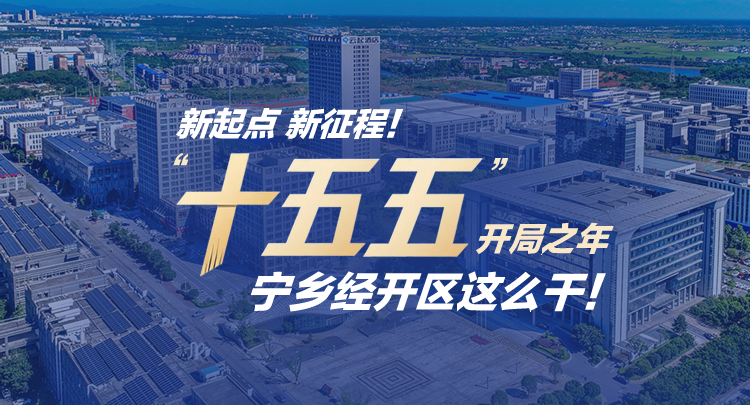 图解丨“十五五”开局之年，宁乡经开区这么干！