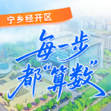 图解丨宁乡经开区：每一步，都“算数”