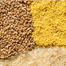 奋力开新局 湖南省粮食和物资储备局锚定全链协同保粮安