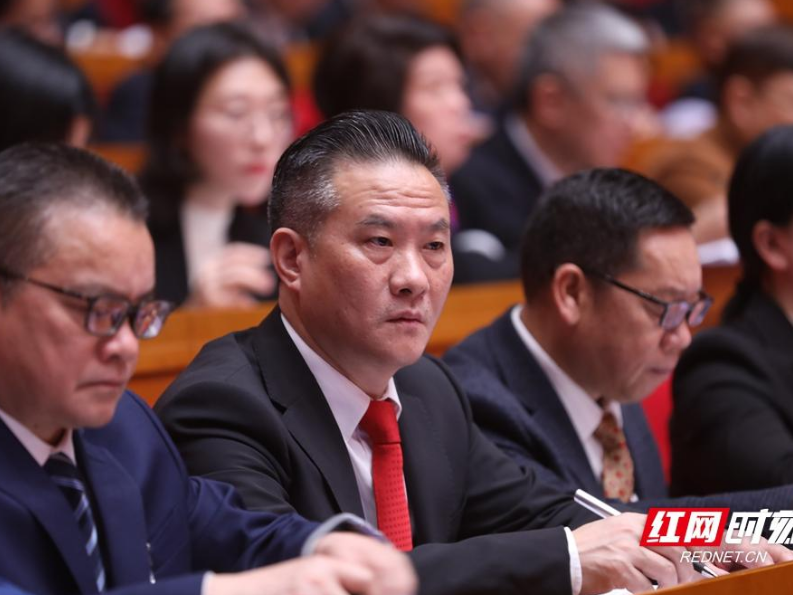 两会好声音丨罗长林：以信息化与协同治理破解“执行难”  