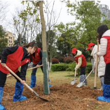 扎根生态链 共绘零碳圈：“大爱筑绿城”在行动