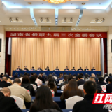 同心奋楫,书写“侨”答卷——湖南省侨联九届三次全委会议侧记