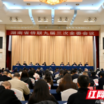 湖南省侨联九届三次全委会议在长沙举行 吴晖当选省侨联主席