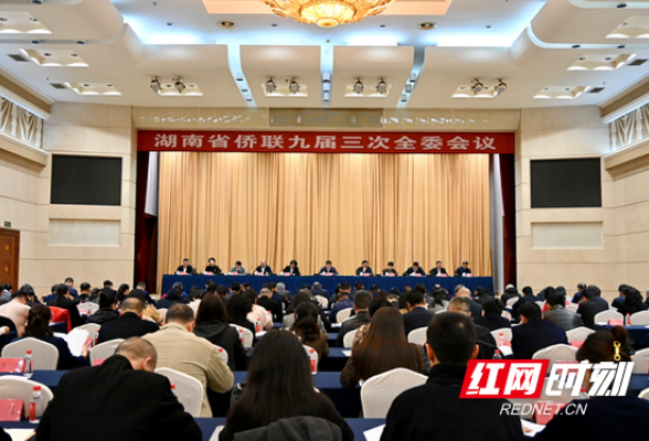 同心奋楫，书写“侨”答卷——湖南省侨联九届三次全委会议侧记