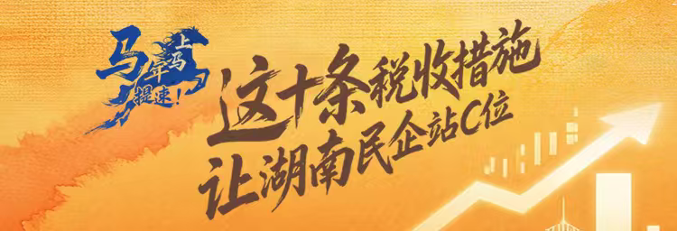 海报 | 马年马上提速！这十条税收措施，让湖南民企站C位}