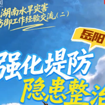 湖南水旱灾害防御工作经验交流（二）丨岳阳市：强化堤防隐患整治