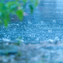 今日白天湖南大部雾转晴天 今晚起全省自西向东将有一次强降雨过程