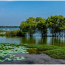 湖南省公开第三轮中央生态环境保护督察整改情况：生态环境质量持续改善
