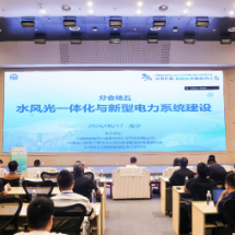 院士专家齐聚一堂 共话水风光一体化助力新型电力系统建设