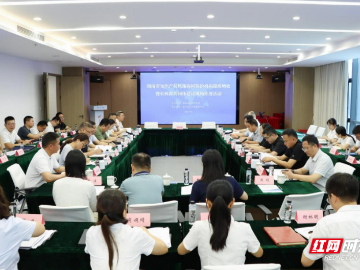 “业务互通、信息共享、结果互认”：长株潭知识产权保护迈入区域协同建设新阶段