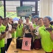 非遗技艺+邻里竞技 株洲“我们的节日・端午”活动热闹又走心