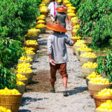 开启23℃清凉之约 炎陵发布三条精品线路