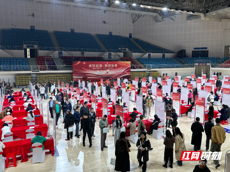 600余份简历！郴州退役军人（军属）专场招聘会架起高效“就业桥”