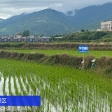 构建郴州“水立方”之节水篇：节水润福城  点滴见初心